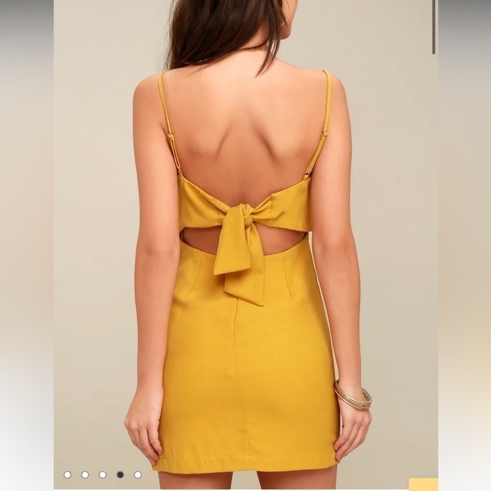 LULUS toast to life dress - Picture 2 of 6